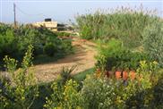 Elysium Visitor Centre and Tree Nursery