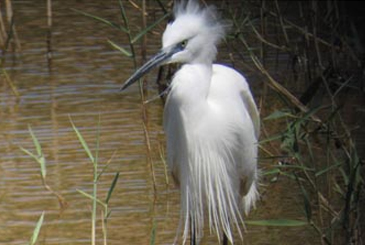 Simar Nature Reserve