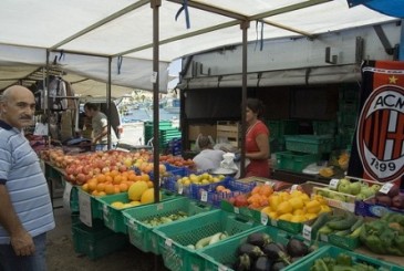 Ta' Qali Market