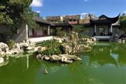 Chinese Garden of Serenity